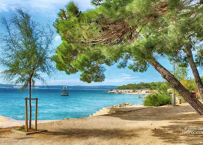 Lavarin * Novi Vinodolski